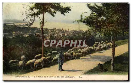 Cartes postales Houlgate La route de Villers et vue sur Houlgate ( berger moutons )