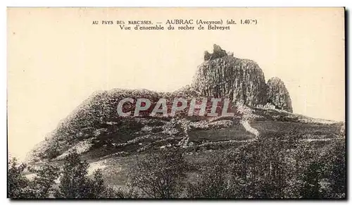 Ansichtskarte AK Parc des Narcisses Aubrac Vue d&#39ensemble du rocher de Belveyet