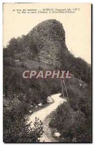 Cartes postales Parc des Narcisses Aubrac Le rocher et route d&#39Aubrac a Saint Chely d&#39Aubrac