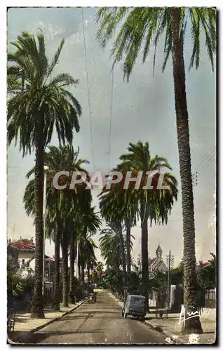 Cartes postales Hyeres les Palmiers Avenue de Beauregard