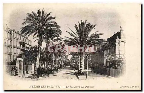 Cartes postales Hyeres les Palmiers Le boulevard des Palmiers