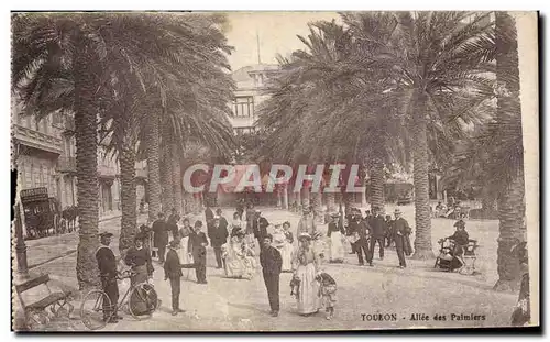 Cartes postales Toulon Allee des palmiers