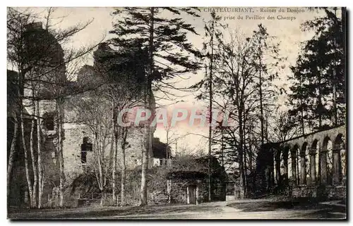 Chateaubriant Ansichtskarte AK Ruines du donjon Vue prise du pavillon des Champs