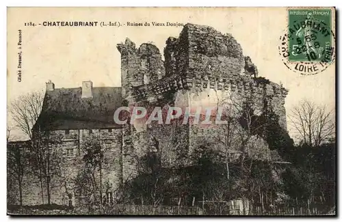 Chateaubriant Ansichtskarte AK Ruines du vieux donjon