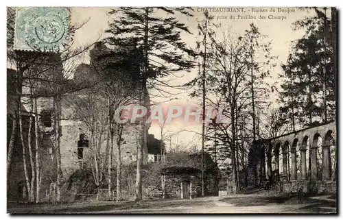 Chateaubriant Ansichtskarte AK Ruines du donjon Vue prise du pavillon des Champs