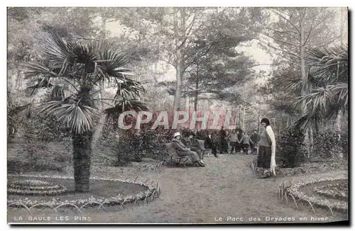 Cartes postales La Baule les pins Le parc des Dryades en hiver