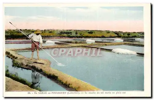 Cartes postales De Saille au Pouliguen La recolte de sel marin en plein ete