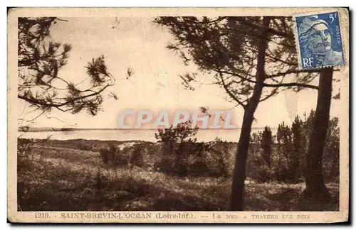 Cartes postales Saint Brevin l'ocean La mer a travers les pins