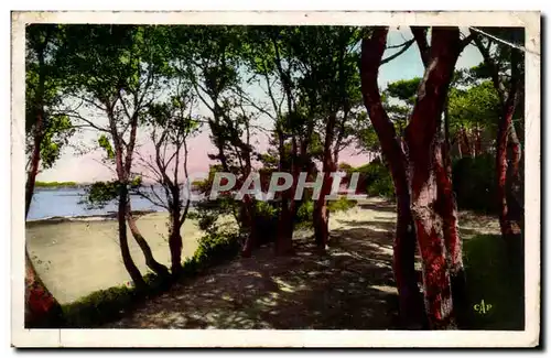 Cartes postales St Brevin l&#39ocean Baie de pointeau