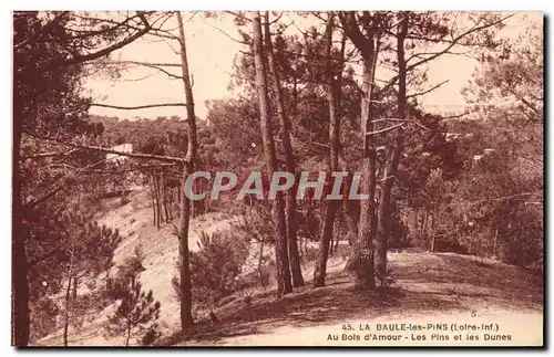 Cartes postales La Baule les Pins Au bois d&#39amour Les pins et les dunes