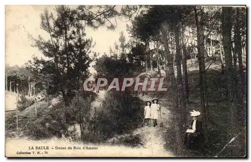 Ansichtskarte AK La Baule Dunes du bois d&#39amour