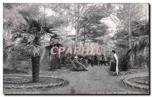 Cartes postales La Baule Le parc des Dryades en hiver