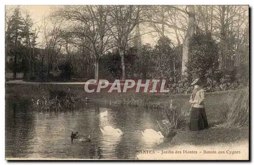 Ansichtskarte AK Nantes Jardin des plantes Bassin aux cygnes Swan