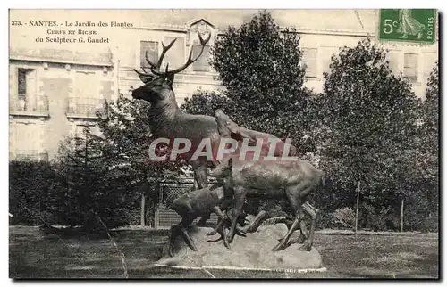 Ansichtskarte AK Nantes le jardin des plantes Cerfs et biche du sculpteur Gaudet