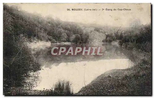 Cartes postales Mouzeil Etang de Cop Choux