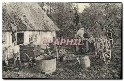 REPRODUCTION Normandie Fabrication du cidre