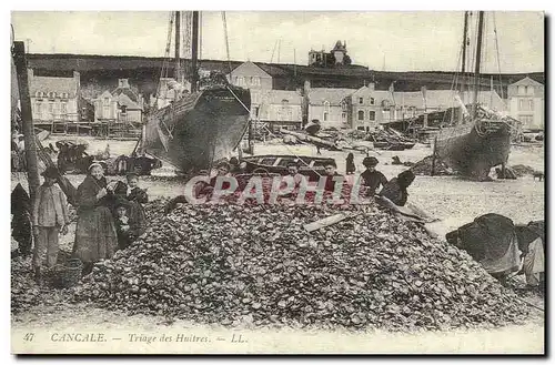 REPRODUCTION Cancale Triage des huitres Pejce