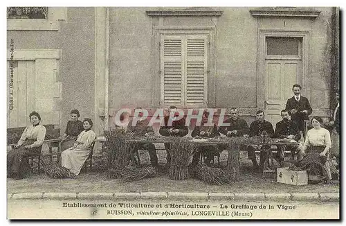 REPRODUCTION Etablissement de Viticulture et d&#39horticulture Le grettage de la vigne Buisson Longe