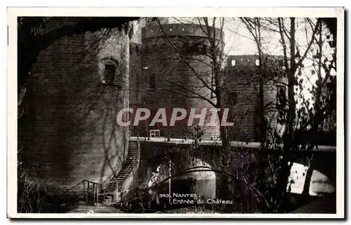 Nantes Cartes postales Entree du chateau