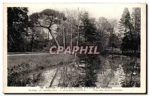 Nantes Cartes postales Jardin des plantes Vue prise des Rocailles