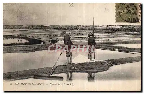 Ansichtskarte AK Les marais salants Recolte de sel