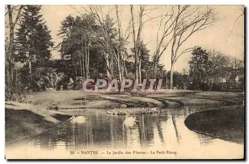 Ansichtskarte AK Nantes Le jardin des plantes Le petit etang