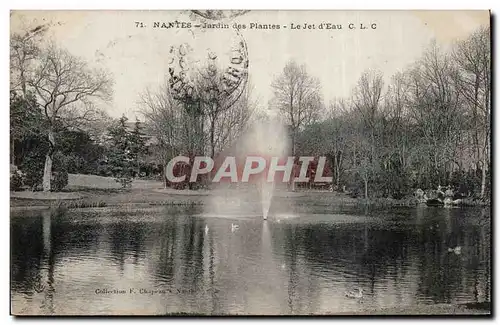 Nantes Cartes postales Le jardin des plantes Le jete d&#39eau