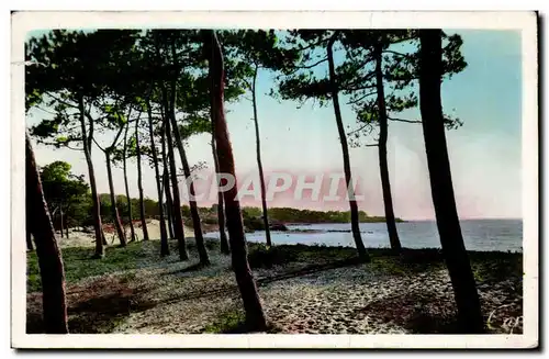 Cartes postales moderne Saint Brevin les Bains Vu du Pointeau