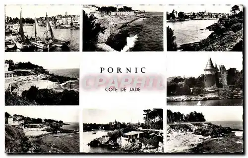 Cartes postales moderne Pornic Cote de Jade