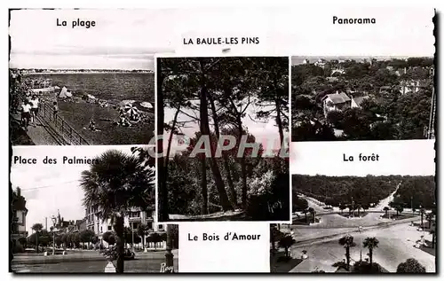 Cartes postales moderne La Baule plage Foret Palmiers Bois d&#39amour