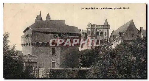 Cartes postales Nantes Le chateau pris du nord