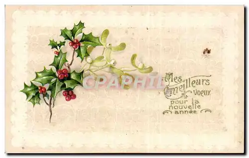 Fetes - houx - holly - nouvelle annee - Cartes postales