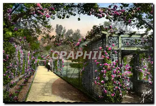 Roseraie de l&#39Hay les Roses- Allee des Arceaux - Ansichtskarte AK