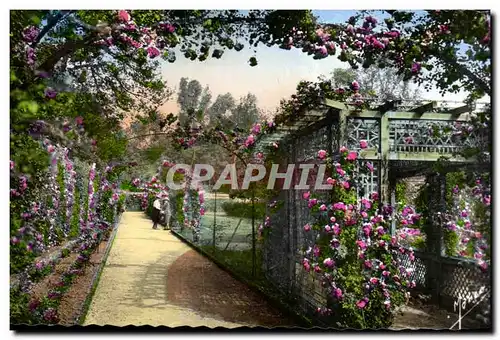 Roseraie de l'Hay les Roses- Allee des Arceaux - Cartes postales