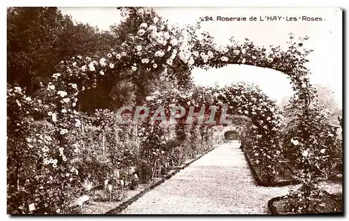 L&#39Hay les Roses - Roeraie - Ansichtskarte AK