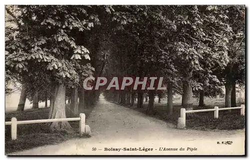 Boissy Saint Leger - L'Avenue du Piple Cartes postales