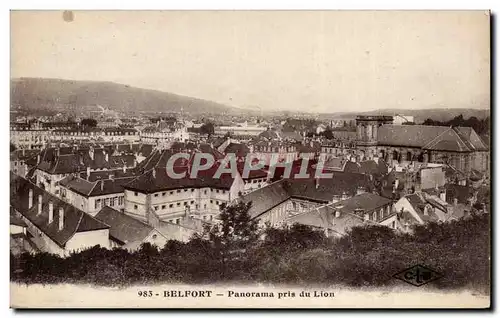 Belfort - Panorama pris du Lion - Ansichtskarte AK