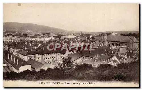 Belfort - Panorama pris du Lion - Cartes postales