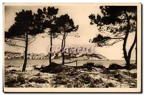 Corse - Haute Corse - Corsica - Calvi - Ile de Beaute - La Haute Ville et la Marine - Yvon - Ansichtskarte AK