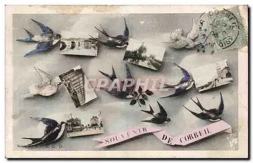 Corbeil - Souvenir - Oiseau - Bird - Cartes postales