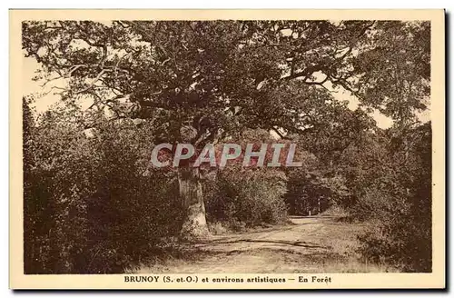 Brunoy - en Foret - environs artistiques - Cartes postales