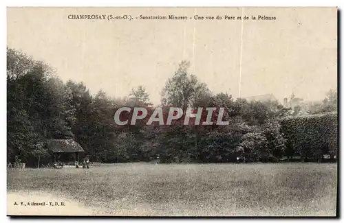 Ansichtskarte AK Champrosay Sanatorium Minoret Une vue du parc et de la Pelouse