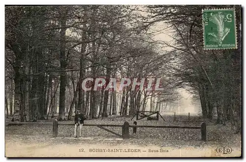 Cartes postales Boissy St Leger Sous bois