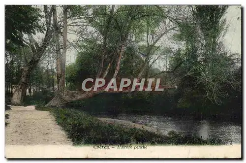 Cartes postales Creteil l&#39arbre penche