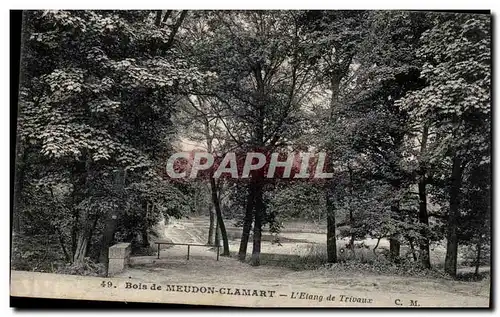 Ansichtskarte AK Bois de Meudon Clamart L&#39etang de Trivaux