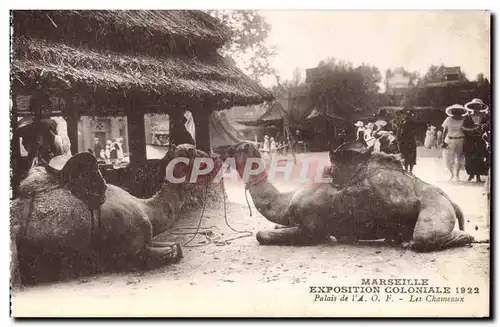 Cartes postales Marseille Exposition coloniale 1922 Palais de l&#39AoF Les chameaux Camel