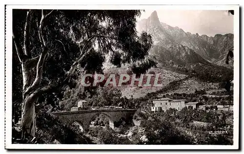 Cartes postales Corse Corsica Porto Le pont et l&#39hotel