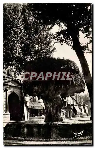 Salon de Provence - Fontaine Moussue - Cartes postales