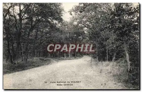 Vesinay - Asile National - Allee Centrale - Cartes postales