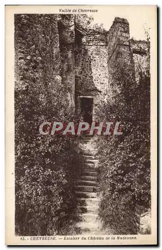 Dampierre - Escalier du Chateau - Vallee de Chevreuse Ansichtskarte AK